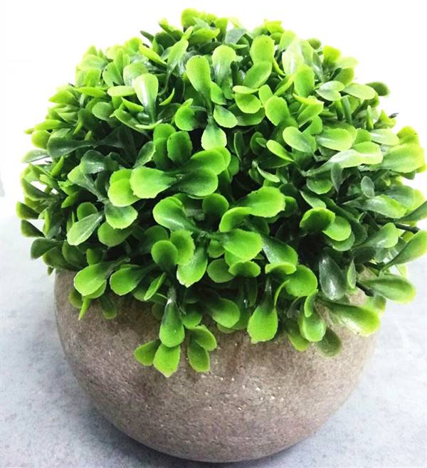 Artificial tropical  plant potted