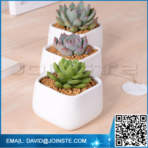 Ceramic rectangular flower pots