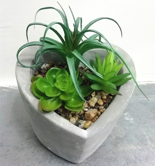 Assorted succulent in concrete heart pot