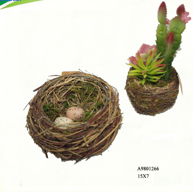 Grass bamboo twig   bird nest with  egg
