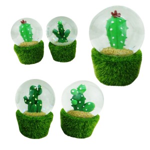 cactus snow globe